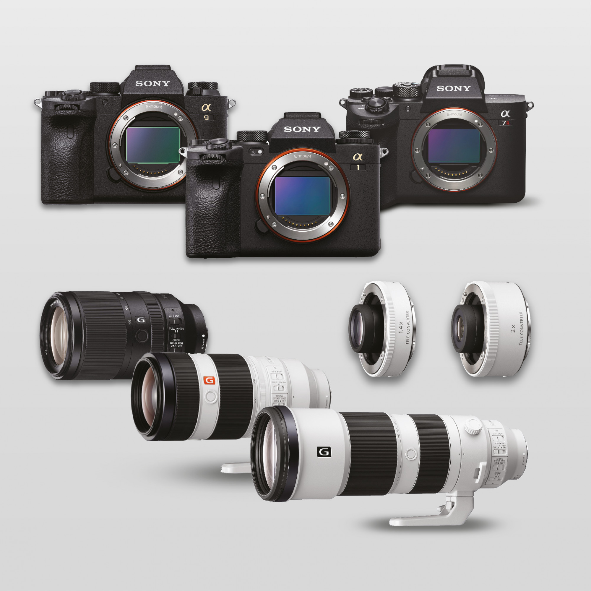 Sony